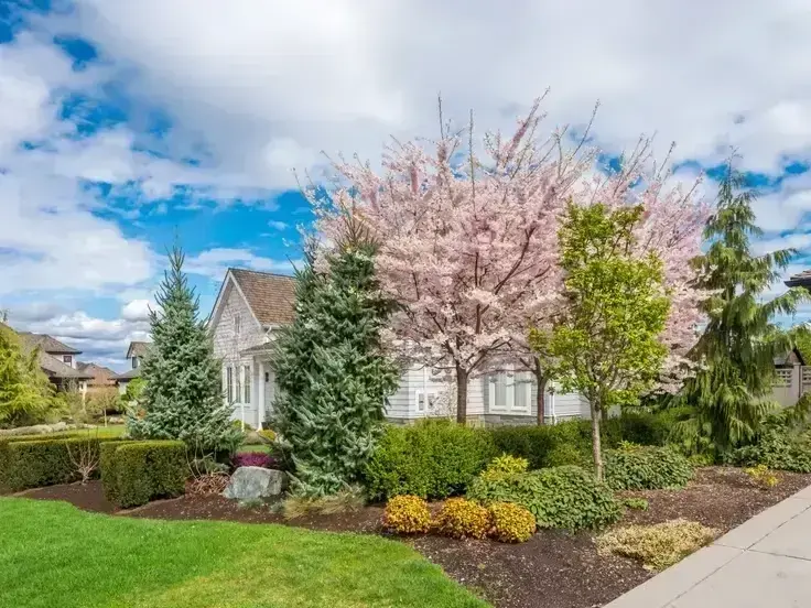 outdoor lighting and water feature design for West Bellevue home garden