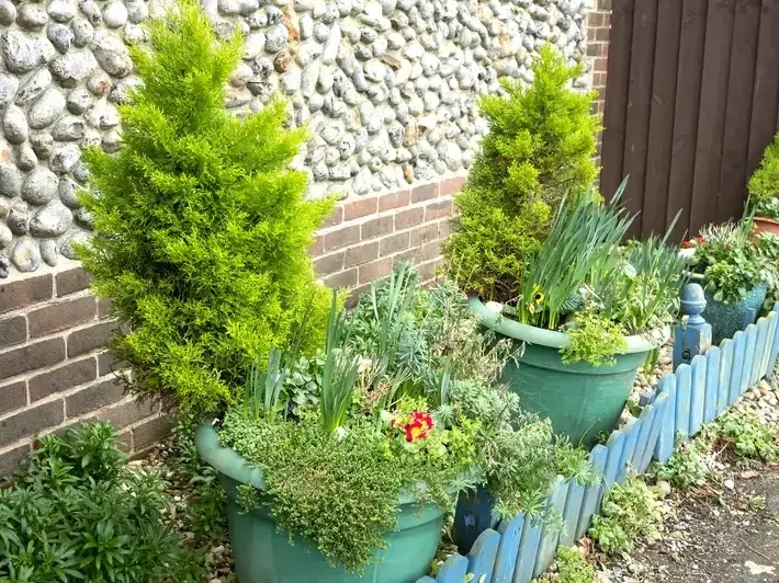 Planting services services in Bothell