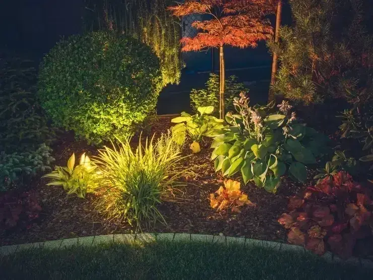 Landscape Architect