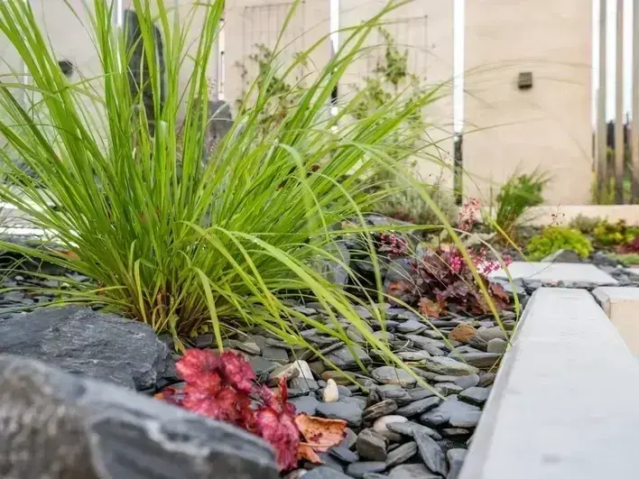 Landscaping Services