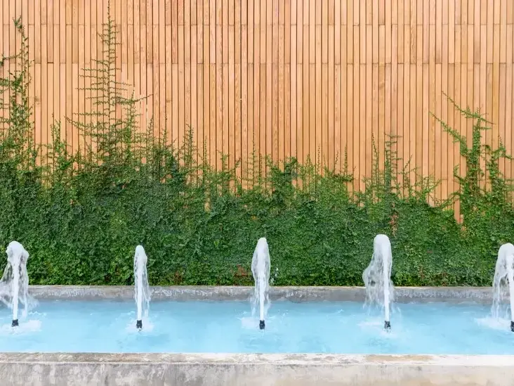 Adam Gorski Landscapes service area covering Sammamish, WA and surrounding neighborhoods