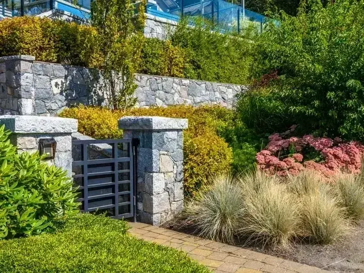 Seattle landscape architect plan for a Queen Anne front yard with steps drainage and native plants