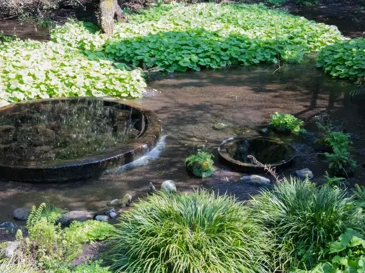 Walkway Design And Installation in Bothell, WA - Adam Gorski Landscapes