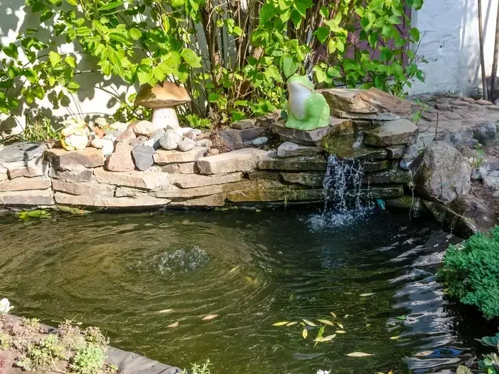 Adam Gorski Landscapes service area covering Sammamish, WA and surrounding neighborhoods