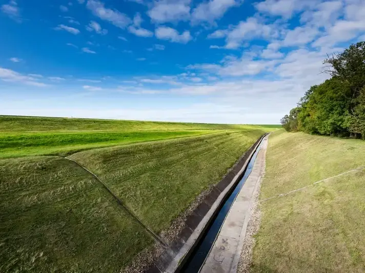 Professional Drainage Solutions services by Adam Gorski Landscapes in Sammamish, WA &mdash; licensed scene Architect provider