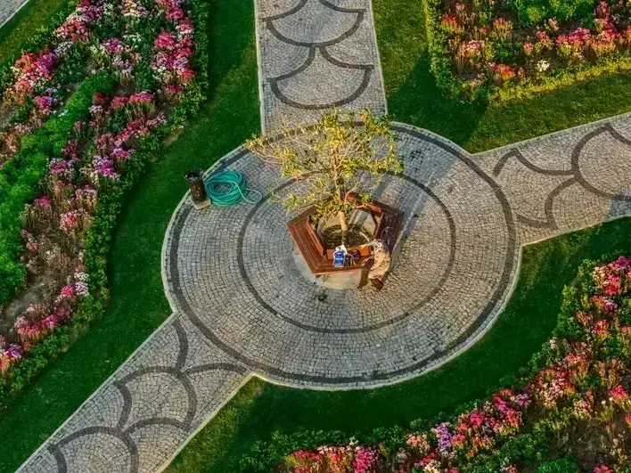 Landscape Architect