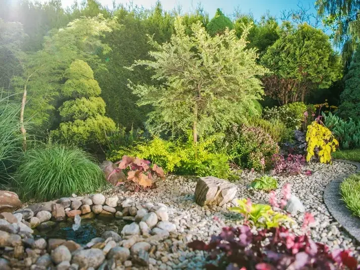 Professional scene Architect services by Adam Gorski Landscapes in Seattle, WA &mdash; serving local businesses and residents