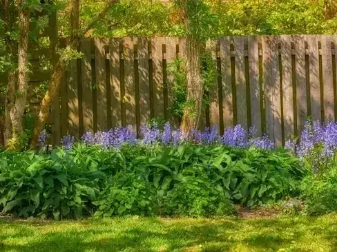 Landscape Architect